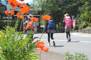 山登り リュック