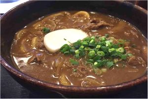 牛カレーうどん トッピング