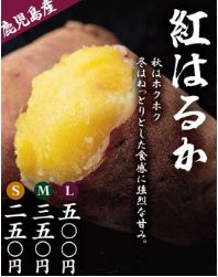 紅はるか